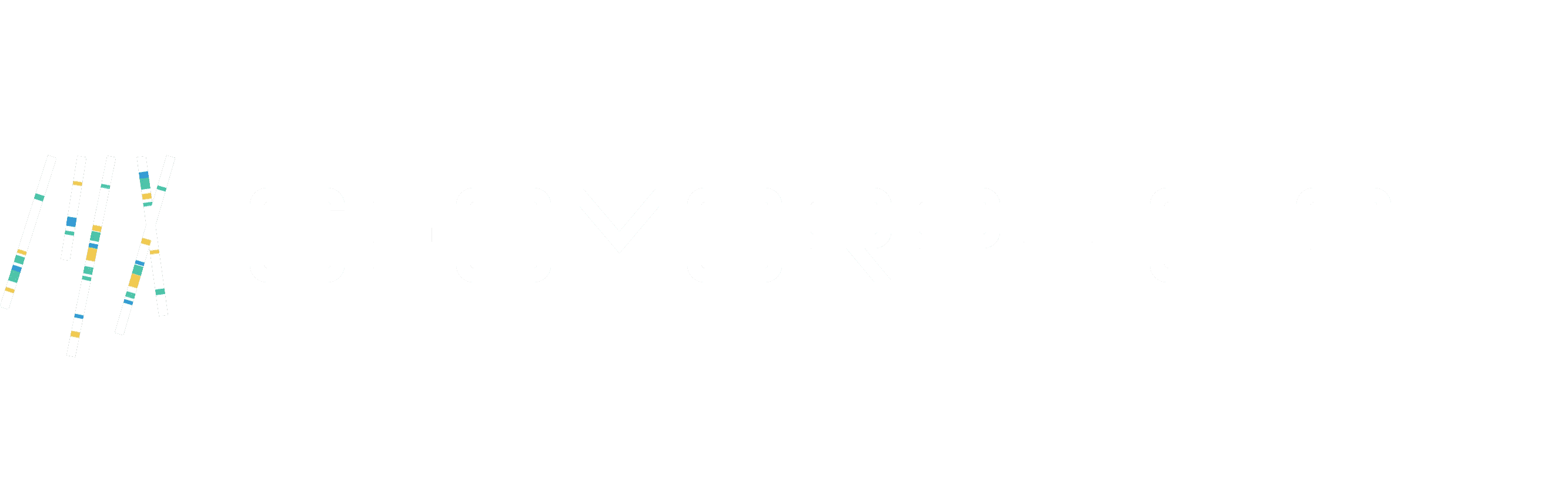 Geomorphic AI
